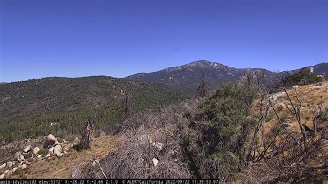 pine cove webcam|Live Cams in Idyllwild